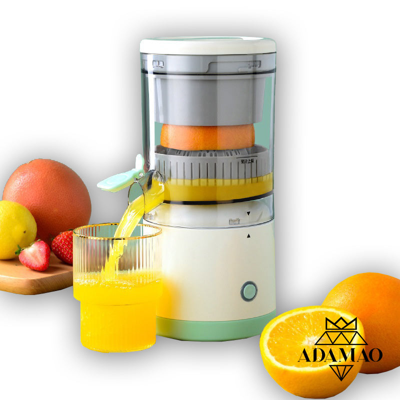 Electric Juice Mixer